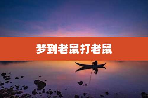 梦到老鼠打老鼠