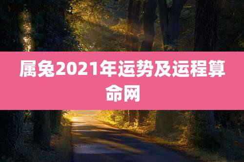 属兔2021年运势及运程算命网