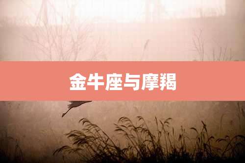金牛座与摩羯