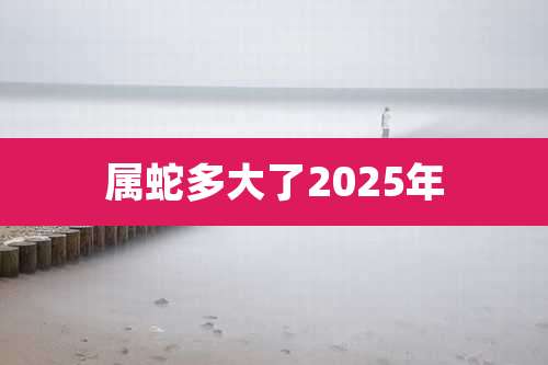 属蛇多大了2025年