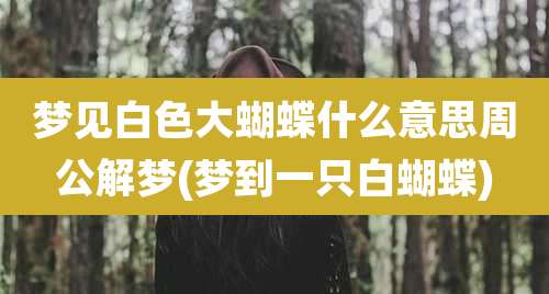 梦见白色大蝴蝶什么意思周公解梦(梦到一只白蝴蝶)