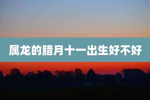 属龙的腊月十一出生好不好