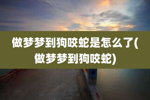 做梦梦到狗咬蛇是怎么了(做梦梦到狗咬蛇)