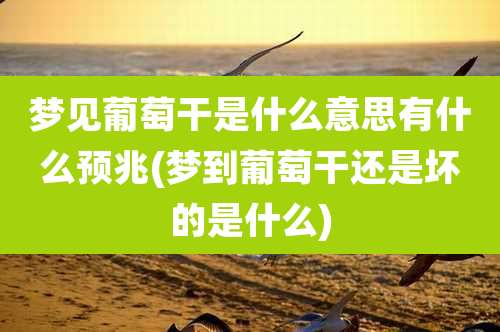 梦见葡萄干是什么意思有什么预兆(梦到葡萄干还是坏的是什么)