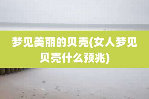 梦见美丽的贝壳(女人梦见贝壳什么预兆)