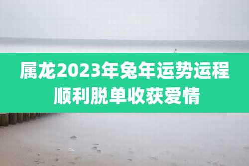 属龙2023年兔年运势运程 顺利脱单收获爱情