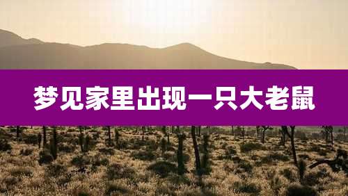 梦见家里出现一只大老鼠