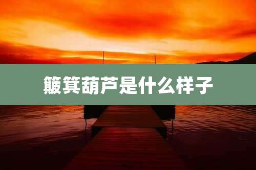 簸箕葫芦是什么样子