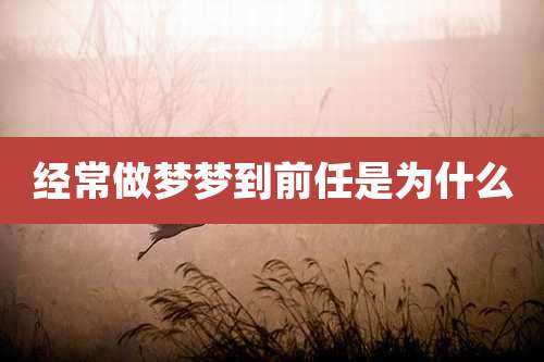 经常做梦梦到前任是为什么