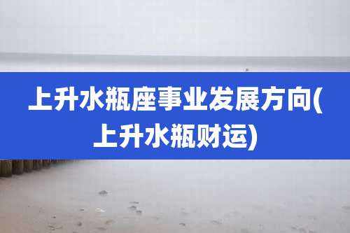 上升水瓶座事业发展方向(上升水瓶财运)