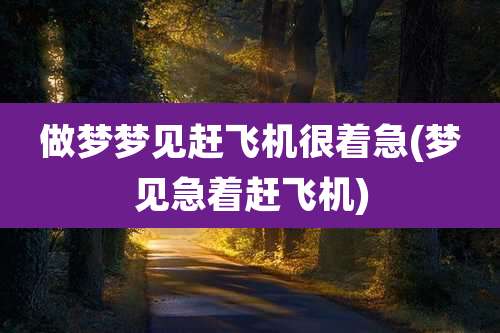 做梦梦见赶飞机很着急(梦见急着赶飞机)