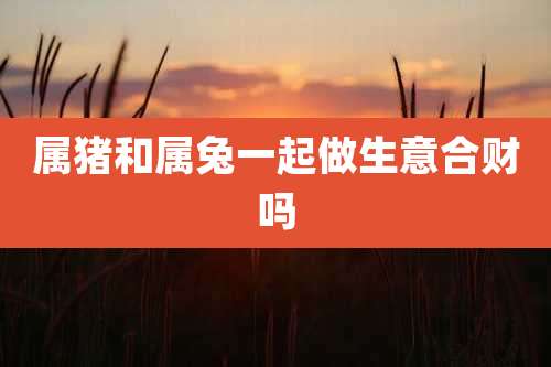 属猪和属兔一起做生意合财吗