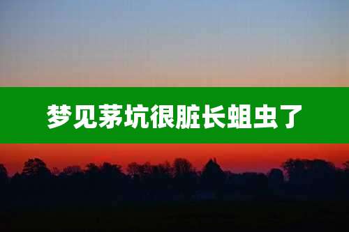 梦见茅坑很脏长蛆虫了