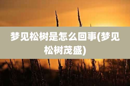 梦见松树是怎么回事(梦见松树茂盛)