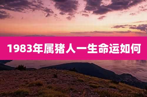 1983年属猪人一生命运如何