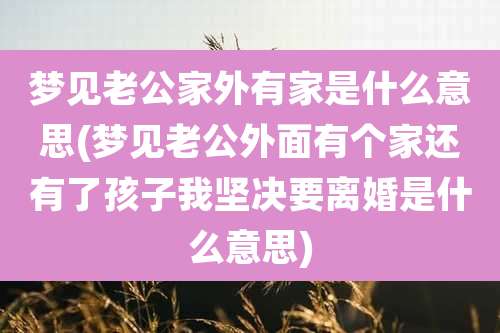梦见老公家外有家是什么意思(梦见老公外面有个家还有了孩子我坚决要离婚是什么意思)