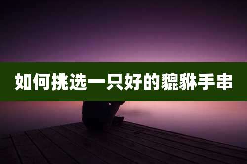 如何挑选一只好的貔貅手串
