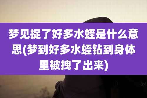 梦见捉了好多水蛭是什么意思(梦到好多水蛭钻到身体里被拽了出来)