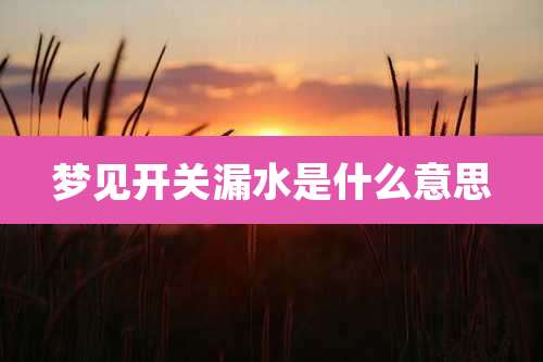梦见开关漏水是什么意思