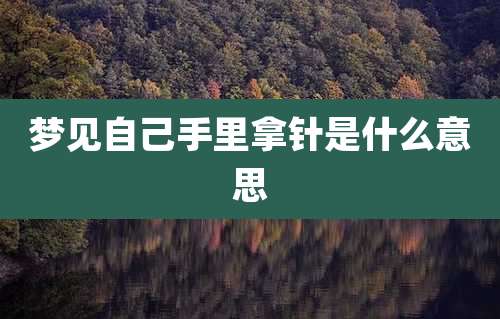 梦见自己手里拿针是什么意思