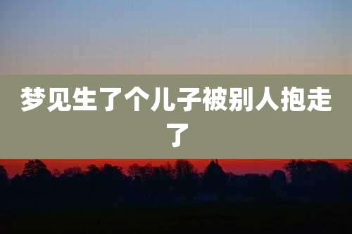 梦见生了个儿子被别人抱走了