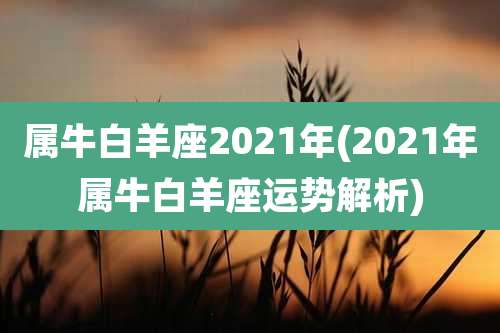 属牛白羊座2021年(2021年属牛白羊座运势解析)