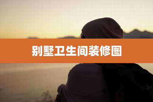 别墅卫生间装修图