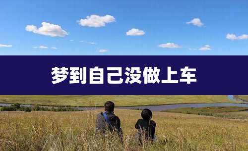 梦到自己没做上车