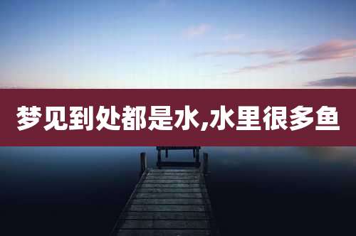 梦见到处都是水,水里很多鱼