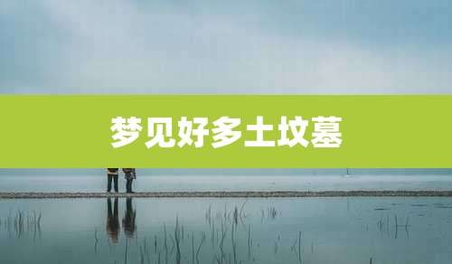 梦见好多土坟墓