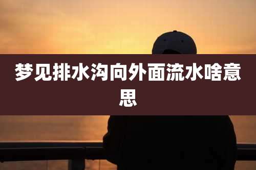 梦见排水沟向外面流水啥意思