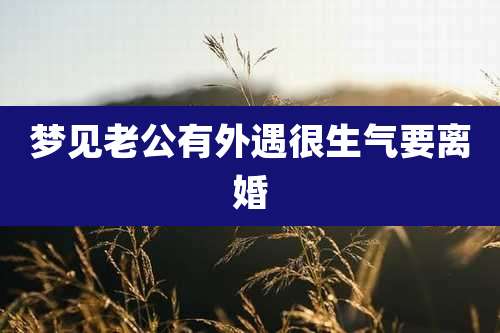 梦见老公有外遇很生气要离婚