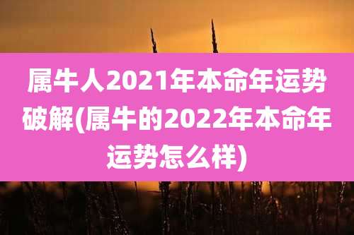 属牛人2021年本命年运势破解(属牛的2022年本命年运势怎么样)