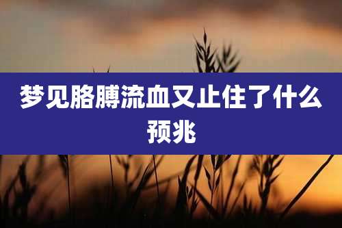梦见胳膊流血又止住了什么预兆