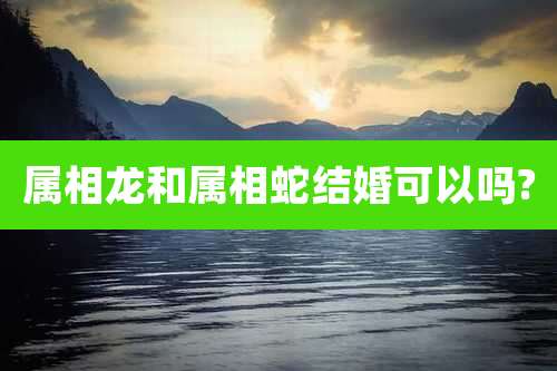 属相龙和属相蛇结婚可以吗?
