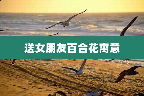 送女朋友百合花寓意