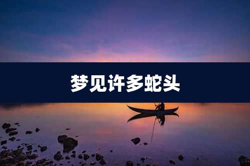 梦见许多蛇头