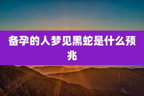 备孕的人梦见黑蛇是什么预兆