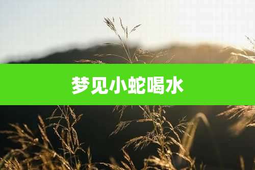 梦见小蛇喝水