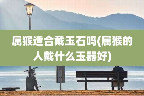 属猴适合戴玉石吗(属猴的人戴什么玉器好)