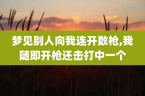梦见别人向我连开数枪,我随即开枪还击打中一个