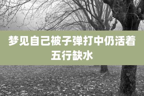 梦见自己被子弹打中仍活着五行缺水