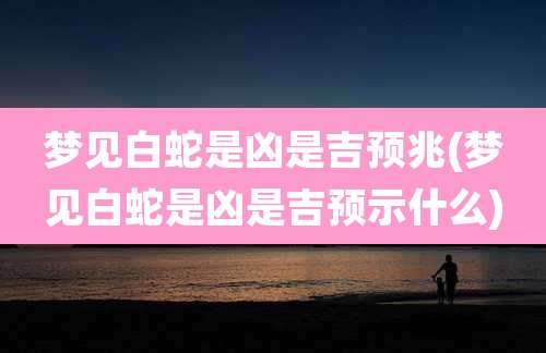梦见白蛇是凶是吉预兆(梦见白蛇是凶是吉预示什么)