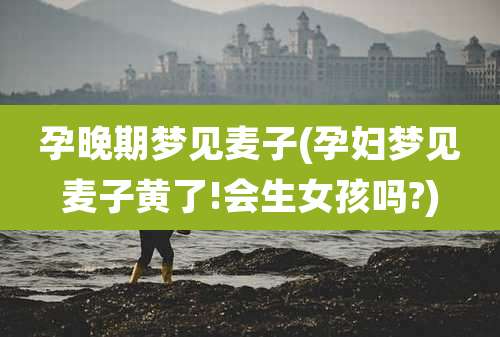 孕晚期梦见麦子(孕妇梦见麦子黄了!会生女孩吗?)