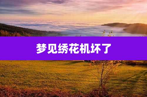 梦见绣花机坏了