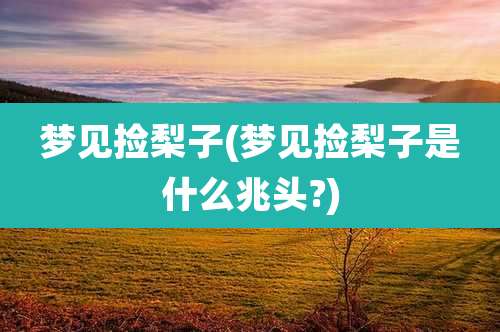 梦见捡梨子(梦见捡梨子是什么兆头?)