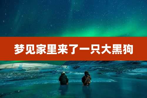 梦见家里来了一只大黑狗
