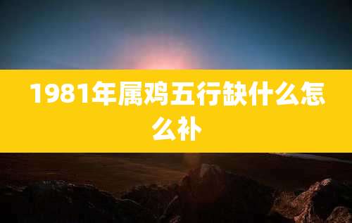 1981年属鸡五行缺什么怎么补