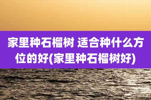 家里种石榴树 适合种什么方位的好(家里种石榴树好)