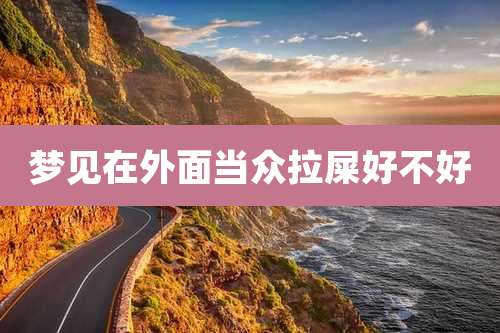 梦见在外面当众拉屎好不好